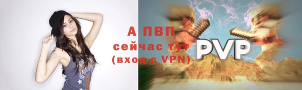 твердый Волоколамск