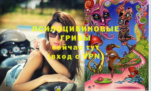 твердый Волоколамск