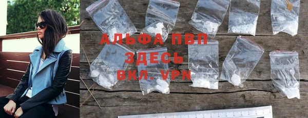 гашик Вяземский