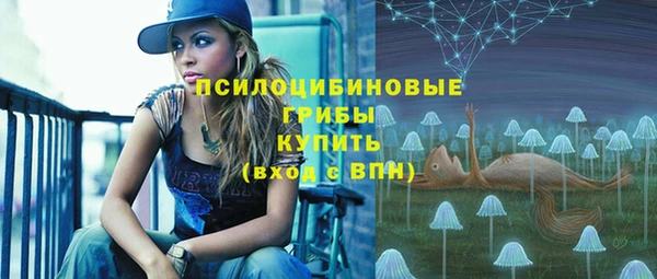 гашик Вяземский