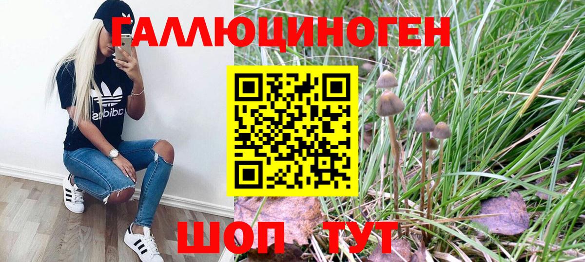 Псилоцибиновые грибы Magic Shrooms Ноябрьск