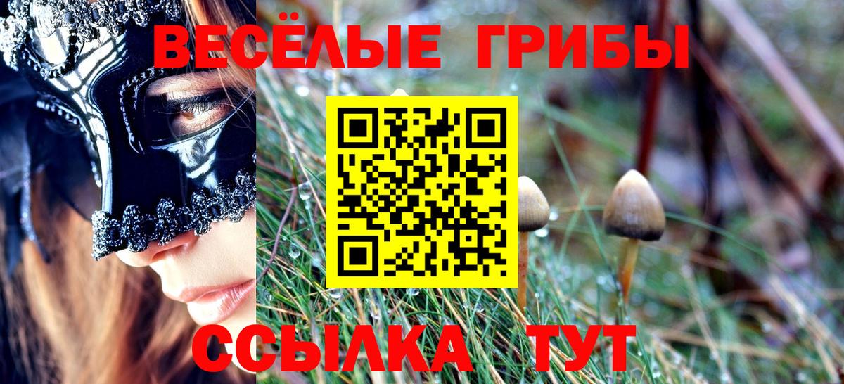 Псилоцибиновые грибы мицелий  Вход с VPN  Ноябрьск 